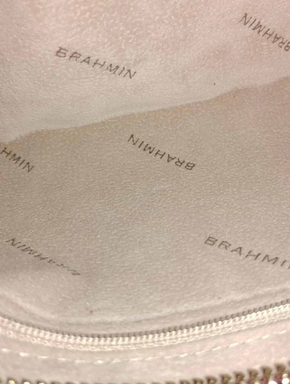 Brahmin Clutch Baguette Demi Bag Dragon Style Iridescent